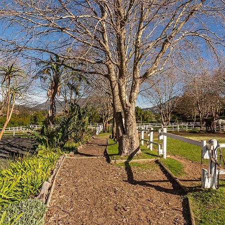 Novelle Vista Cottage Hout Bay Eksteriør bilde