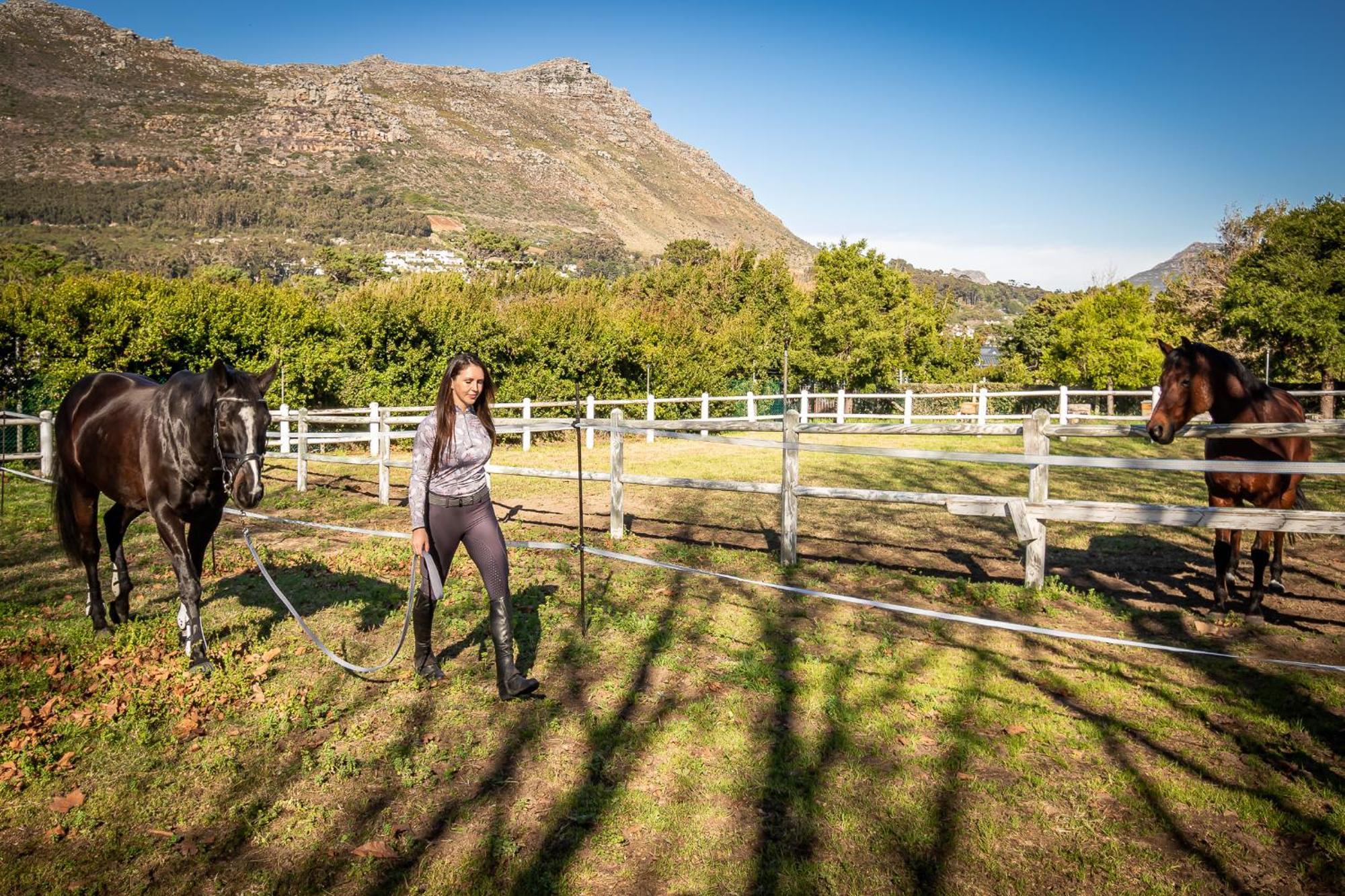 Novelle Vista Cottage Hout Bay Eksteriør bilde